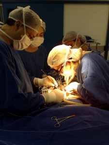 transplante4_750x100_773