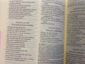 bibliaAgnelo