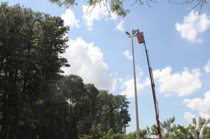 iluminacao parque da cidade